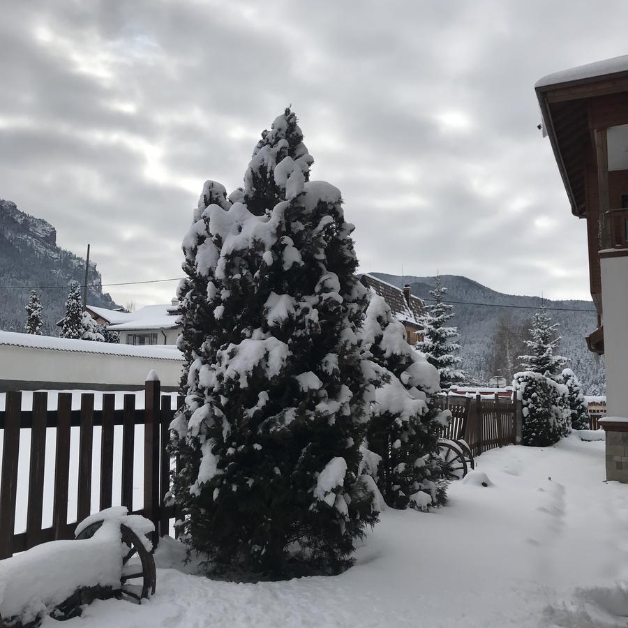 Boutique Hotel The White Pine Samokov Bagian luar foto